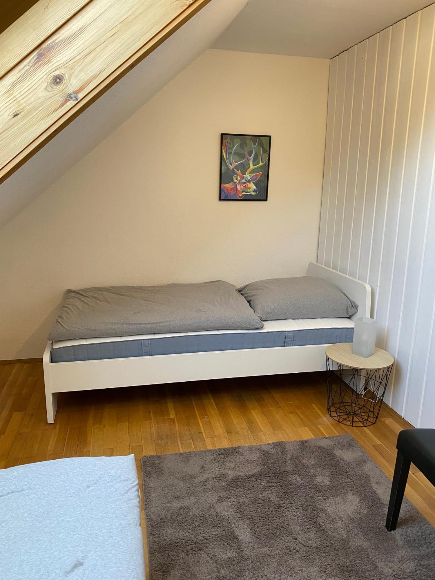 Apartmenthaus Selbitz Eksteriør billede